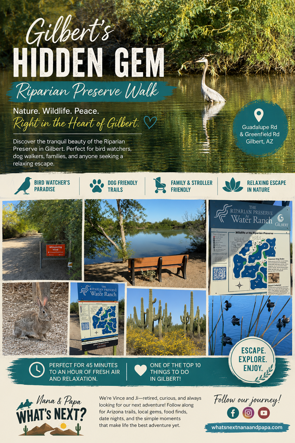 Gilbert’s Hidden Gem A Relaxing Morning Walk at the Riparian Preserve